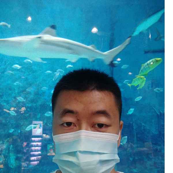 河北34岁单身帅哥真诚找对象-阿拉善盟征婚相亲网